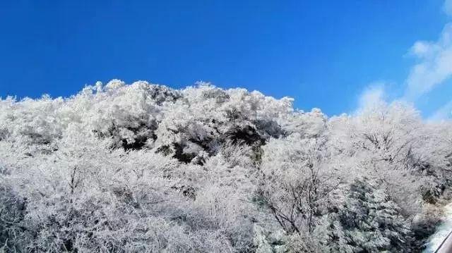 泛亚电竞网站